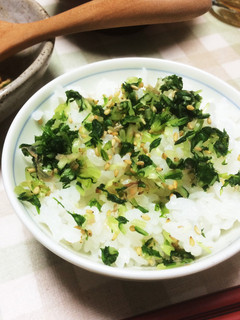 水菜の生ふりかけ-レシピのメイン写真