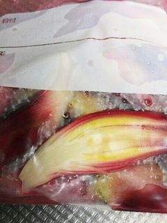 ミョウガの酢漬け-レシピのメイン写真