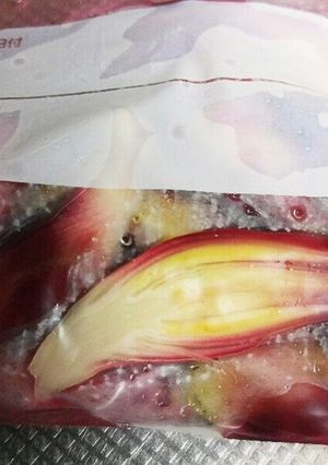 ミョウガの酢漬け-レシピのメイン写真