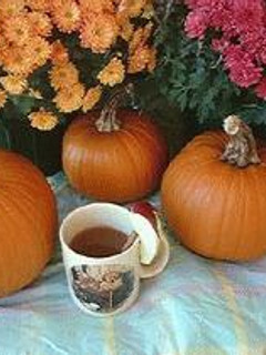 Munchkins' Hot Apple Cider-レシピのメイン写真