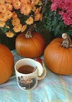 Munchkins' Hot Apple Cider-レシピのメイン写真