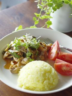 ピリッとエスニック風☆鶏肉の炒めたん-レシピのメイン写真