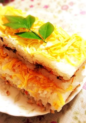 【郷土料理】角寿し(押し寿司)-レシピのメイン写真