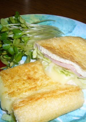とろ~りチーズとハムの油揚げサンド-レシピのメイン写真
