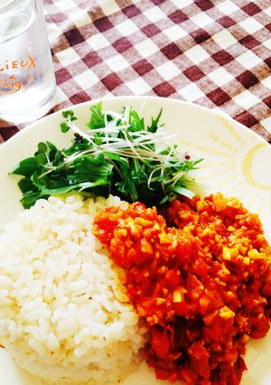 大豆でヘルシー！簡単キーマカレー☆彡-レシピのメイン写真