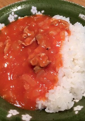 懐かしい味のハヤシライス-レシピのメイン写真