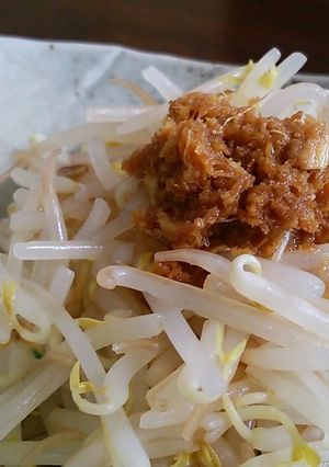 茹でもやしにおろしショウガ。-レシピのメイン写真