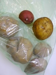 じゃがいもの長期保存方法♪-レシピのメイン写真