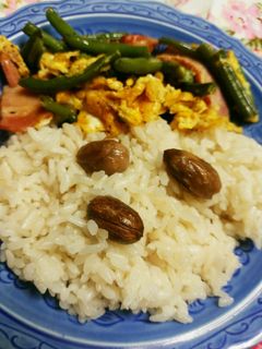 マテバシイご飯-レシピのメイン写真