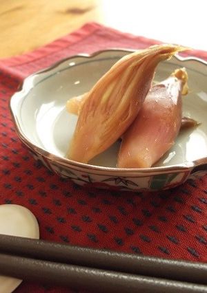 みょうがのカレー甘酢漬け-レシピのメイン写真