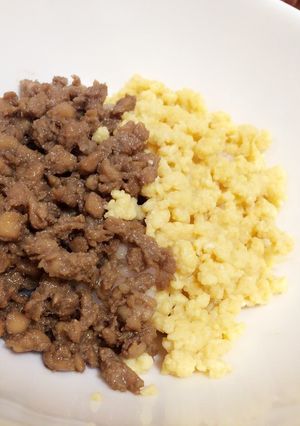 甘め！ふわふわ卵の簡単そぼろ丼-レシピのメイン写真