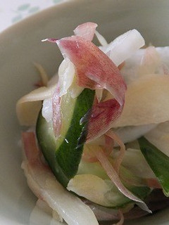 香味野菜の浅漬けサラダ-レシピのメイン写真