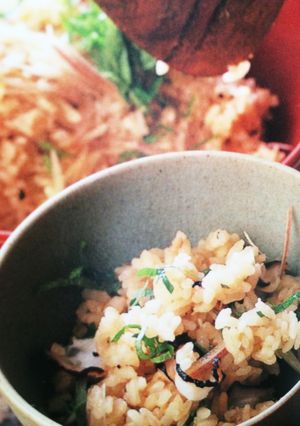 タコ生姜ご飯-レシピのメイン写真