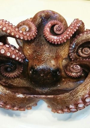 生タコの茹で方 楽々！下処理-レシピのメイン写真