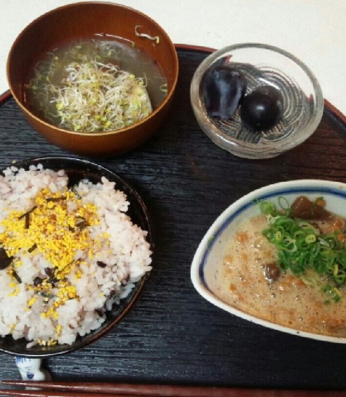 やまかけ 血管プラークダイエット食513（山かけ） by デビオさっちゃん