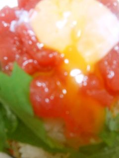 マグロ丼 ユッケ風 超簡単 私流-レシピのメイン写真