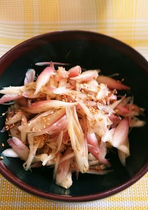 みょうがの塩揉み-レシピのメイン写真