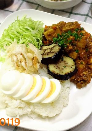 高野豆腐入りヘルシーキーマカレー-レシピのメイン写真