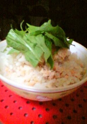 わさびde炊き込みご飯（鮭）-レシピのメイン写真
