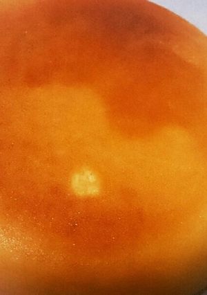 炊飯器で簡単！ヨーグルトケーキ-レシピのメイン写真