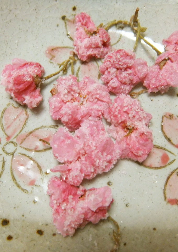 我が家の八重桜（関山）の塩漬け♪-レシピのメイン写真