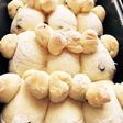 手ごねパンふわふわ〜チョコチップ入り♪