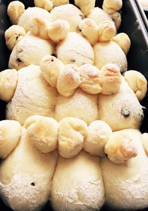 手ごねパンふわふわ〜チョコチップ入り♪-レシピのメイン写真