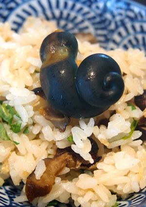 巨大サザエで炊き込みごはん-レシピのメイン写真