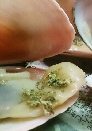 白貝のこぶ蒸し-レシピのメイン写真