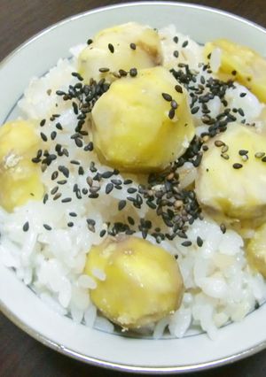 発芽玄米・押麦入り(＾∀＾)栗ごはん-レシピのメイン写真