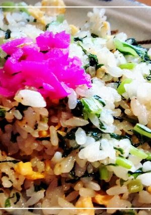 大根菜の炒飯-レシピのメイン写真