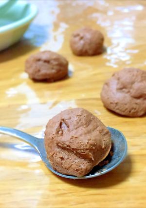 ❀ザクホロッ♫ガルボ風チョコクッキー❀-レシピのメイン写真