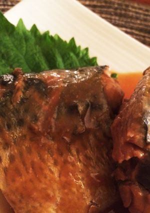さばの味噌煮-レシピのメイン写真