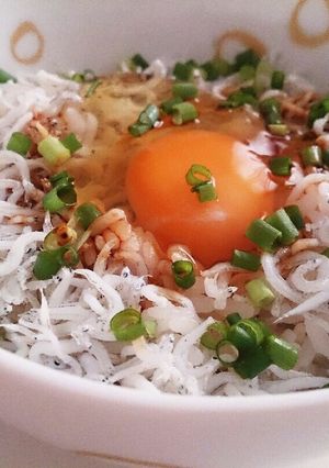 大好きしらす丼-レシピのメイン写真