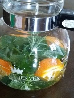 ハーブオレンジ水-レシピのメイン写真