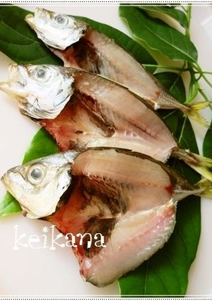 ベランダで超簡単☆自家製鯵の干物♪-レシピのメイン写真
