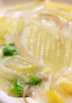 市販のような白菜のクリーム煮-レシピのメイン写真