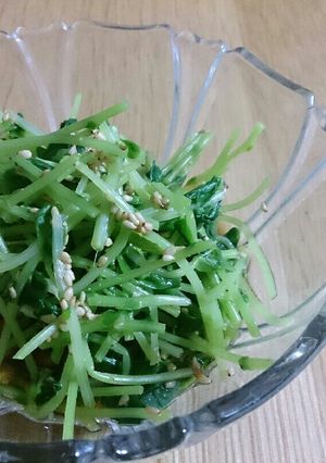 家計の味方♪豆苗のごま和え-レシピのメイン写真