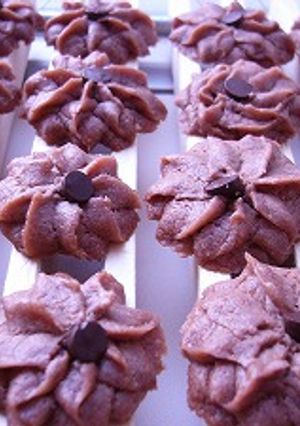 さくさくなチョコレートクッキー-レシピのメイン写真