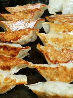☆栄養満点!粉高野豆腐入りシンプル餃子☆-レシピのメイン写真