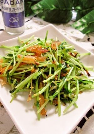 豆苗とさきいかのガーリック炒め-レシピのメイン写真