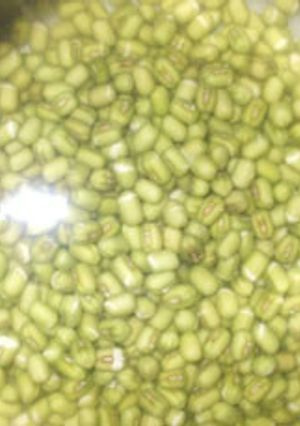解毒の良薬！緑豆茶♪愛知県豊田の漢方薬局-レシピのメイン写真