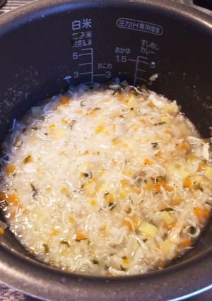 炊飯器で離乳食＊しらす野菜粥-レシピのメイン写真