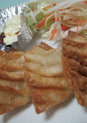 揚げ餃子？？-レシピのメイン写真