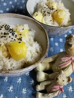 失敗なし!栗ご飯♪-レシピのメイン写真