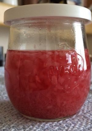 酢ベース調味料★茗荷+玉葱-レシピのメイン写真