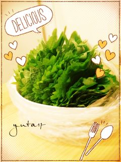 大葉の長持ち保存方法-レシピのメイン写真