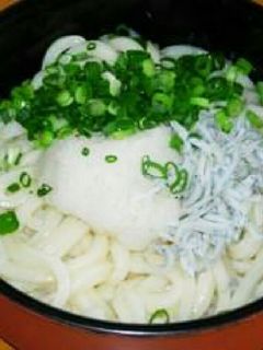 しらす大根おろしうどん-レシピのメイン写真