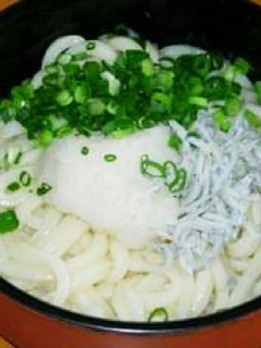 しらす大根おろしうどん-レシピのメイン写真