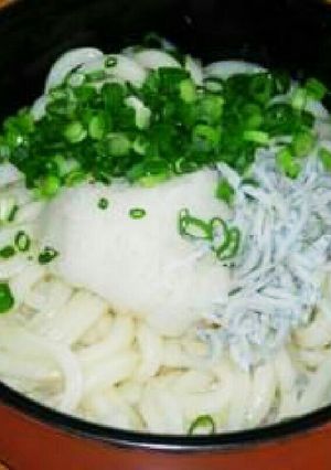 しらす大根おろしうどん-レシピのメイン写真